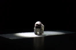 Monika Błaszczak | Choreographer