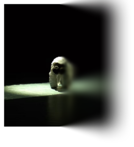 Monika Błaszczak | Choreographer