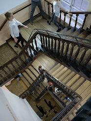 Monika Błaszczak | Choreographer